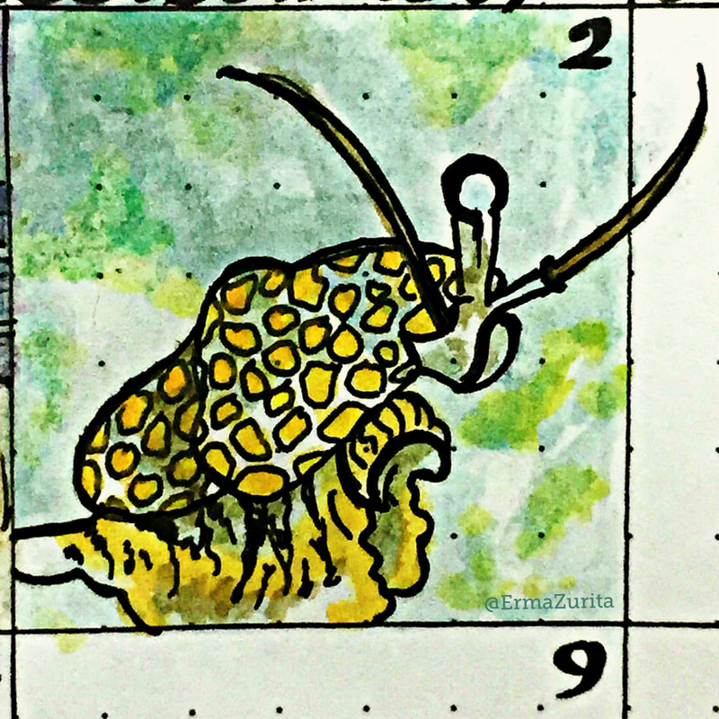 2018-06-02 Erma Zurita doodle Flamingo tongue snail