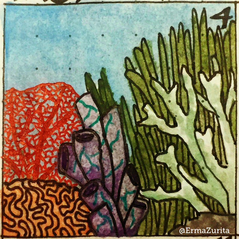 2018-06-04 Erma Zurita doodle coral