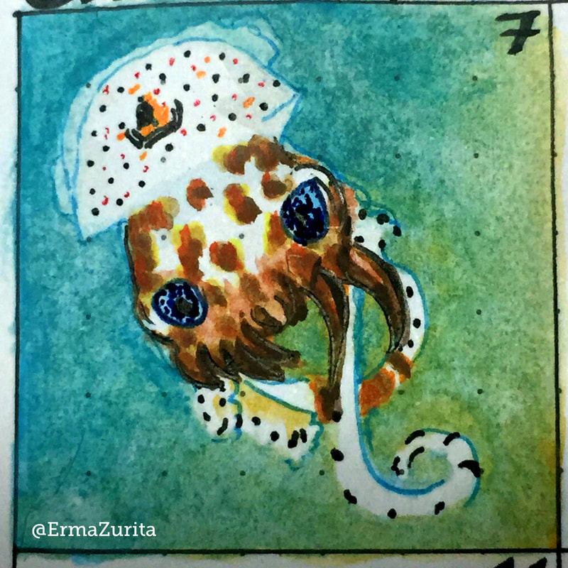2018-06-06 Erma Zurita doodle Bobtail Squid